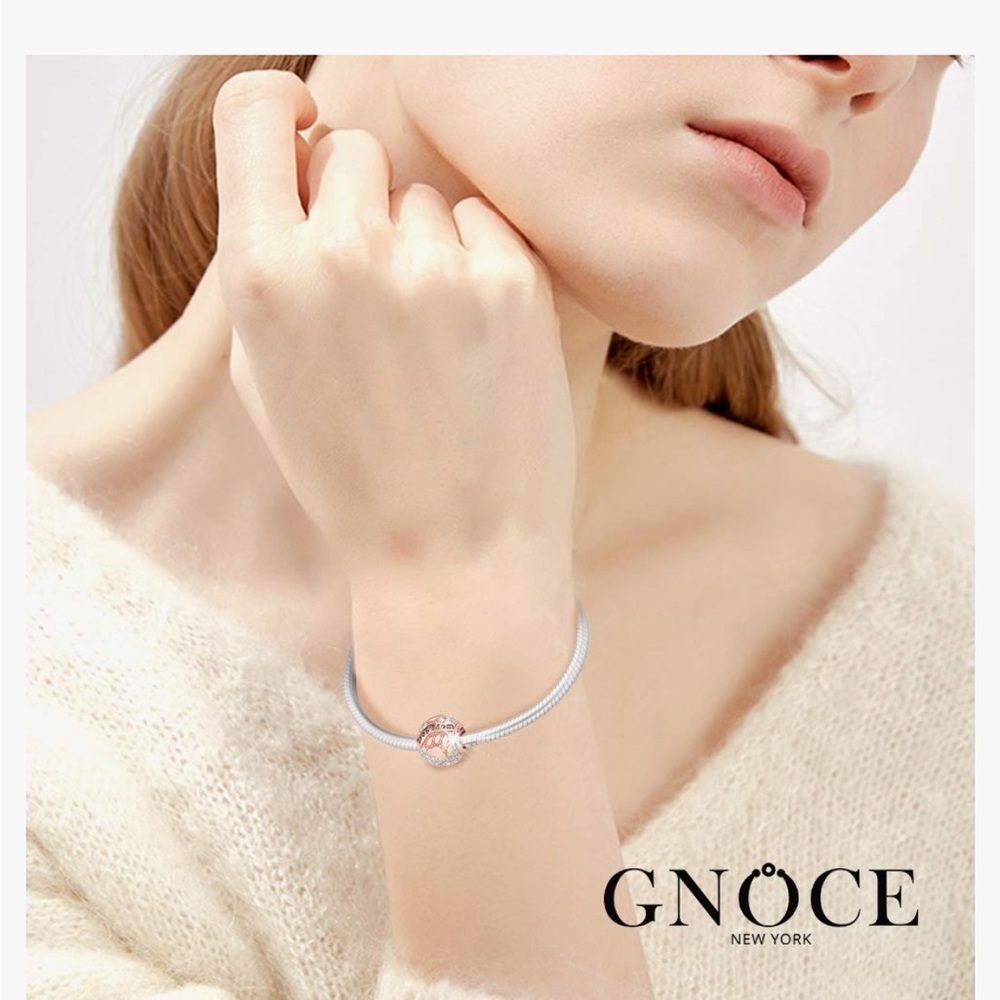 ⭐️🌸GNOCE Charm Bracelet With Sterling Rose gold dog mom charm Stainless Steel